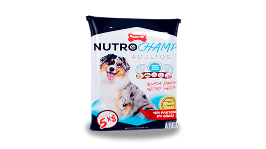 NutroCHAMP - 5KG